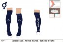 Hayes School Unisex Xpression Style Navy White Socks